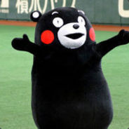 愚生