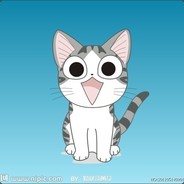 起司猫来了