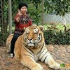 团战不掉线