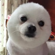 黄美狗
