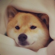 渾教的小杂货铺_