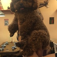痛苦鸭嘴笔