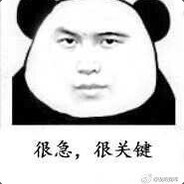 海鸥瞎几把飞