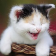 狗哥