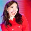 내사랑트와이스