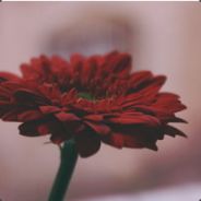 请叫我颓废先生