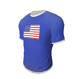 Team USA T-Shirt