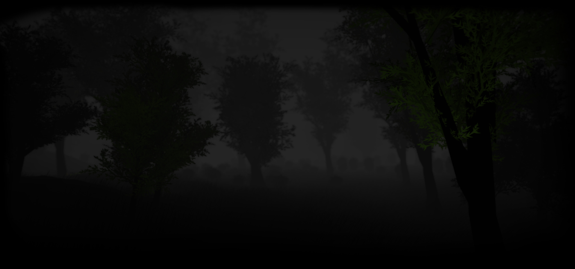 595340-Dark Forest