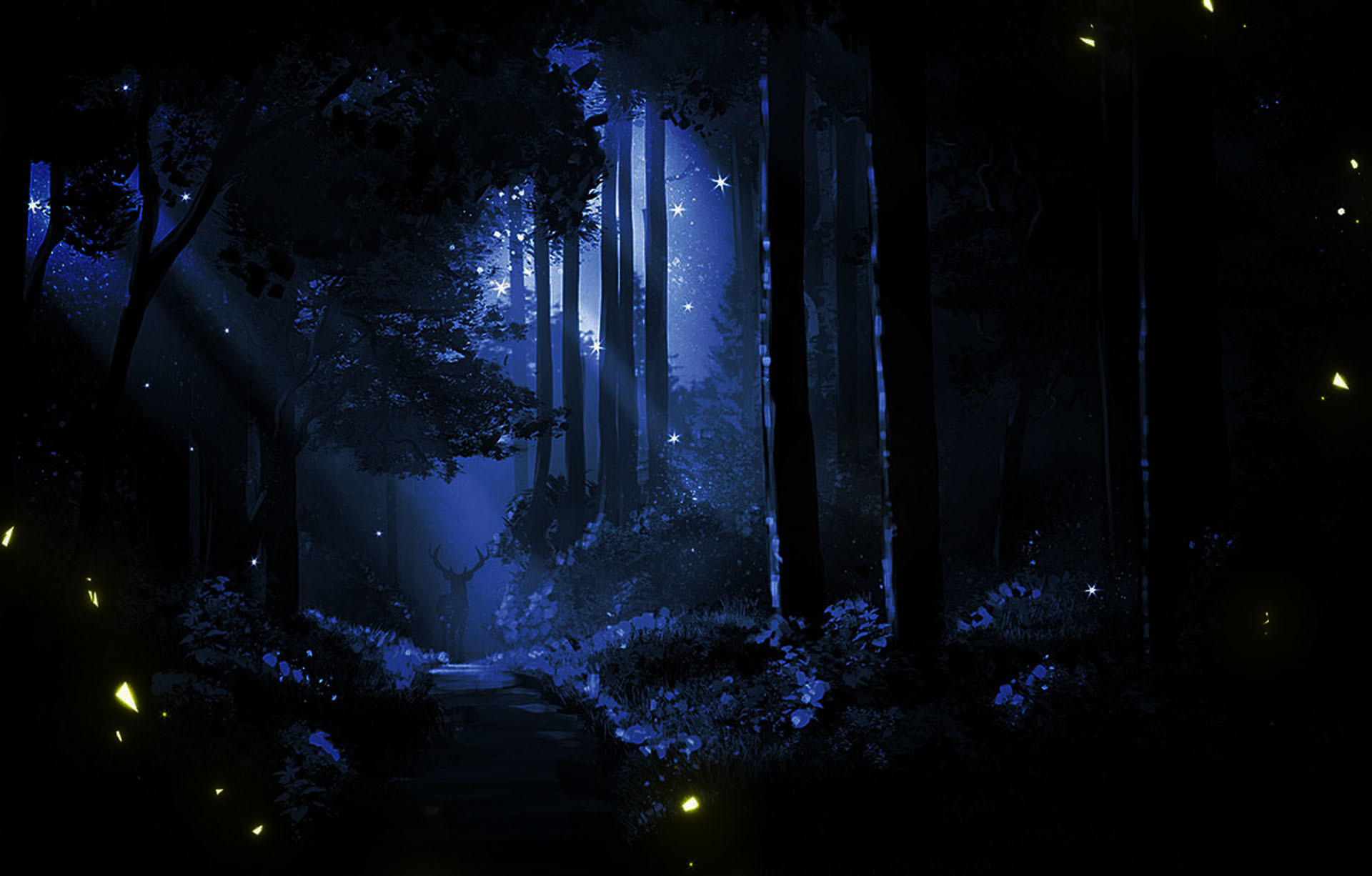 573210-Night Forest