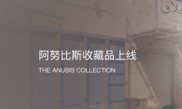 【阿努比斯收藏品】_c5game
