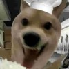 玩家1320832616483311616