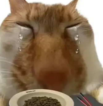 玩家1132852427917737984