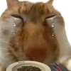 玩家1132852427917737984
