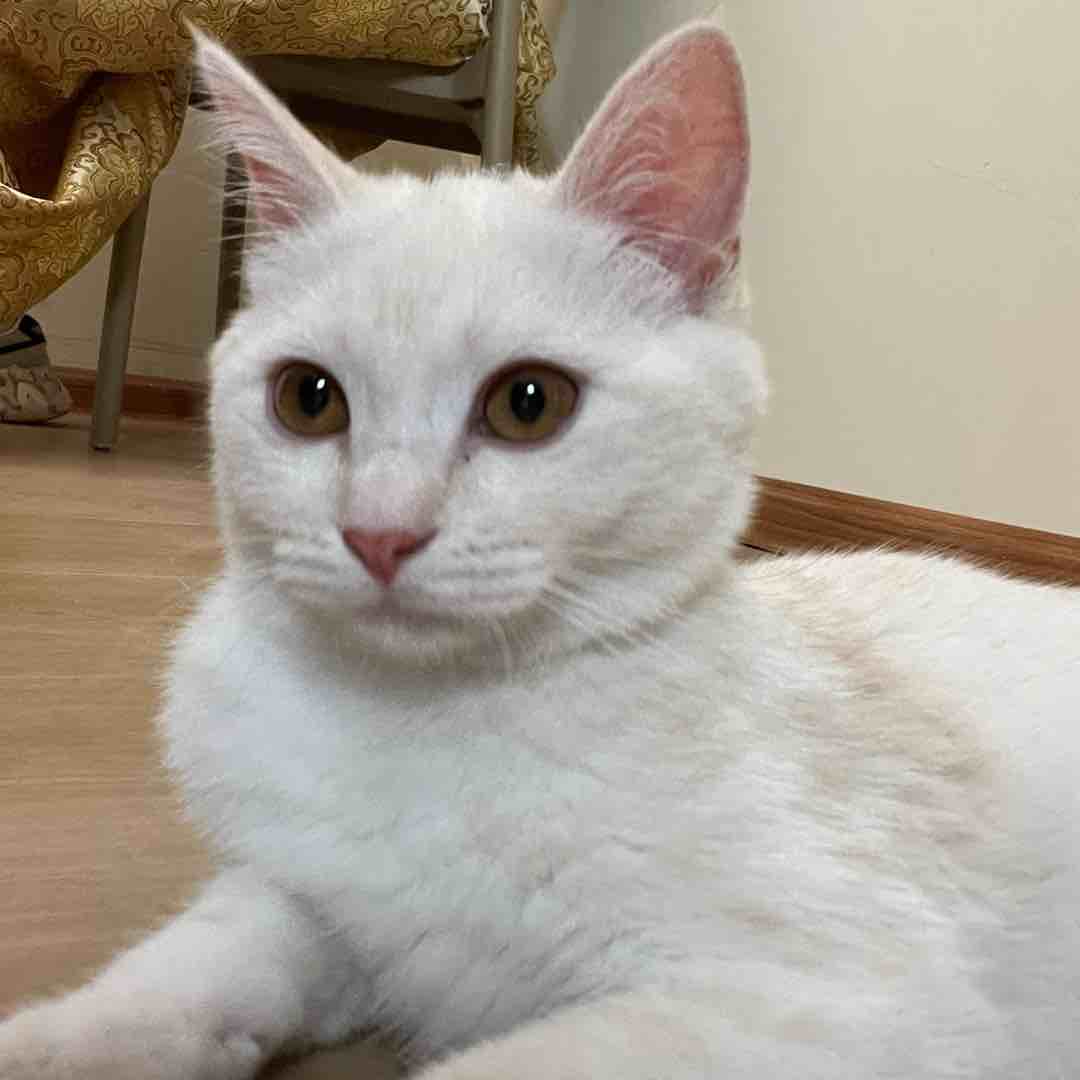 多谢赞助