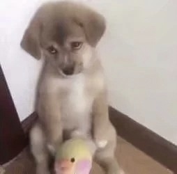 我也改名我也中中中奖