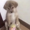 我也改名我也中中中奖