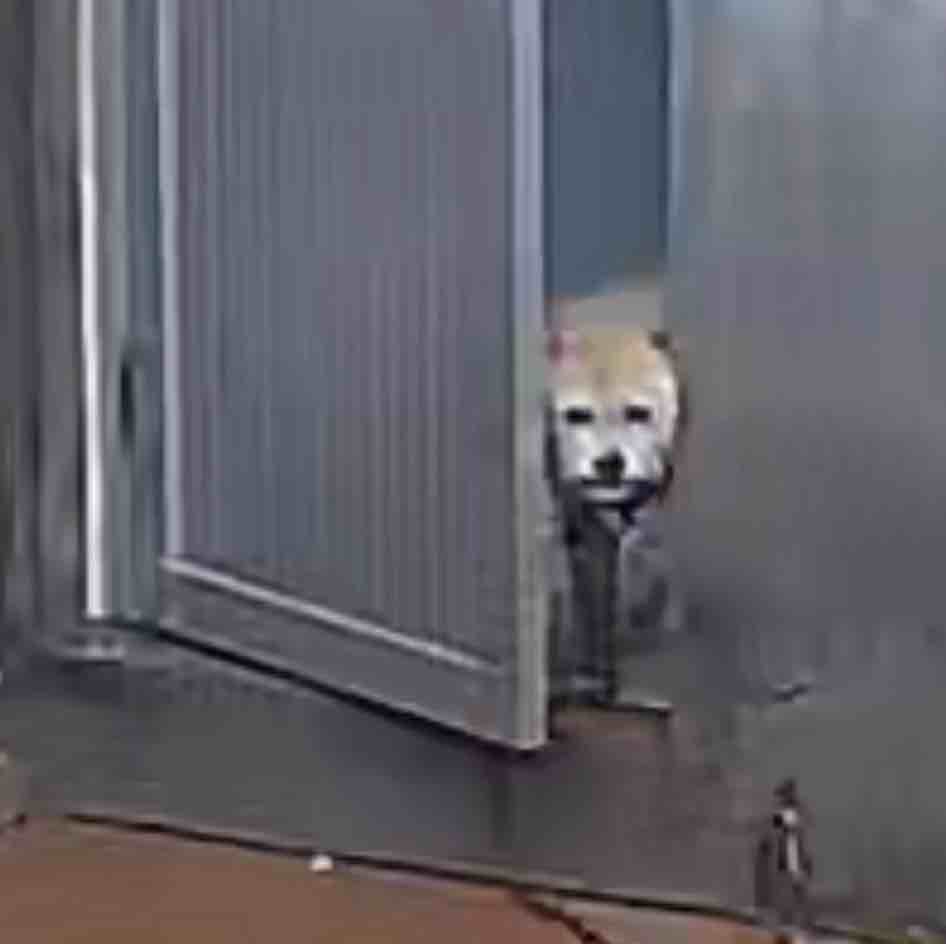 拉满不出限寄侧滑玛