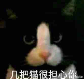 樱岛麻衣