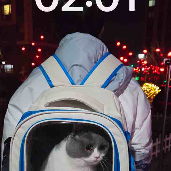 玩家1360867570386251776