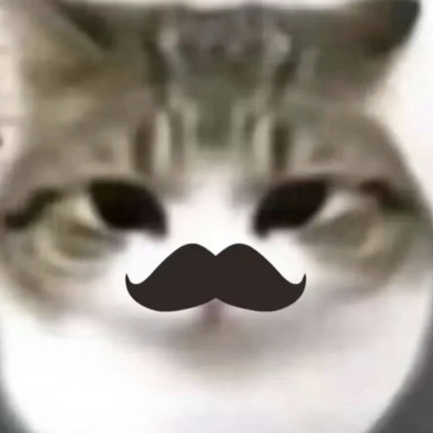包租公猫掌柜