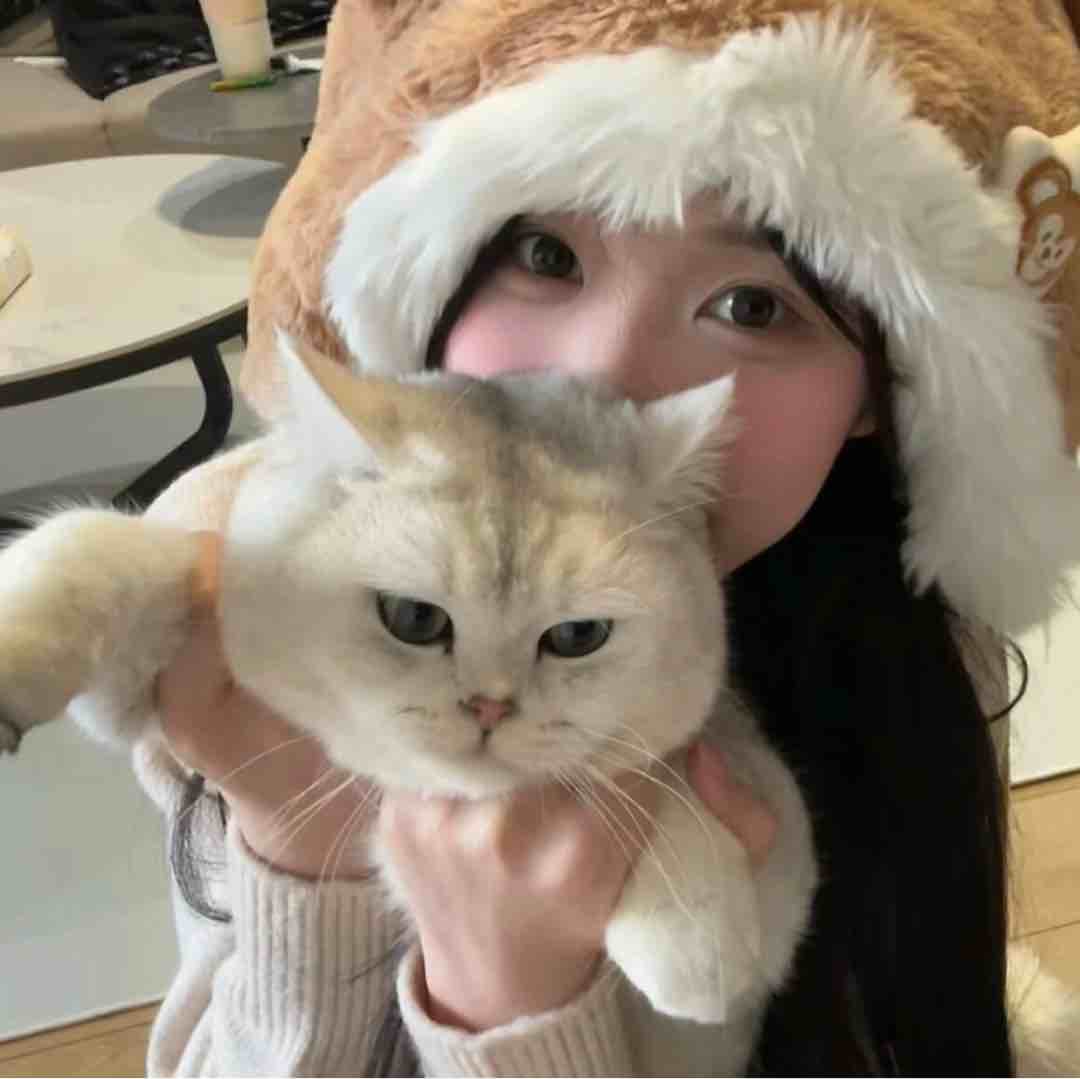 笨蛋懒羊羊