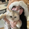 笨蛋懒羊羊