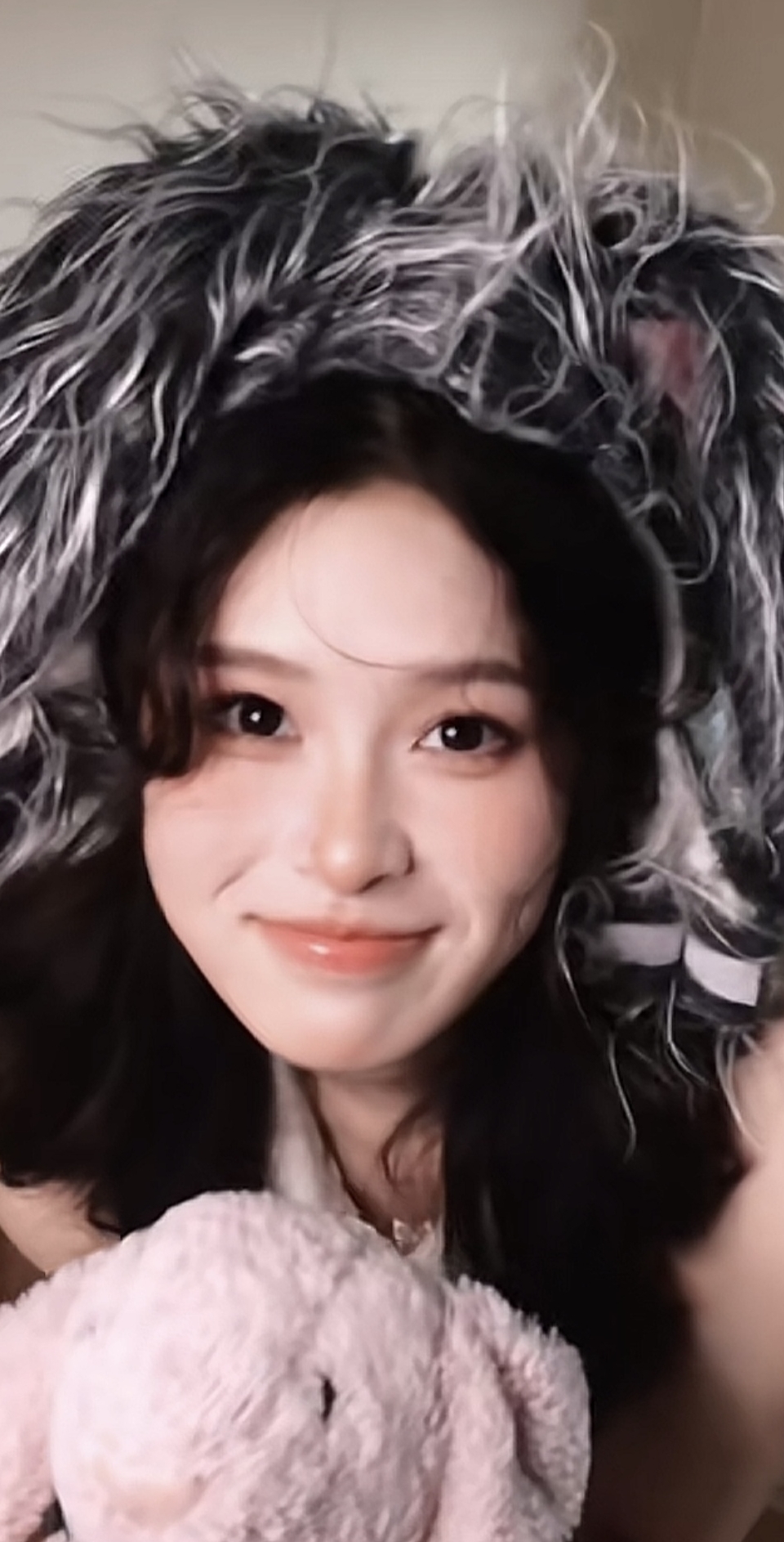 小白菜晚上好