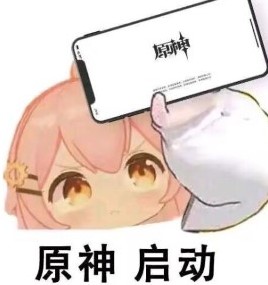 我要玩原神