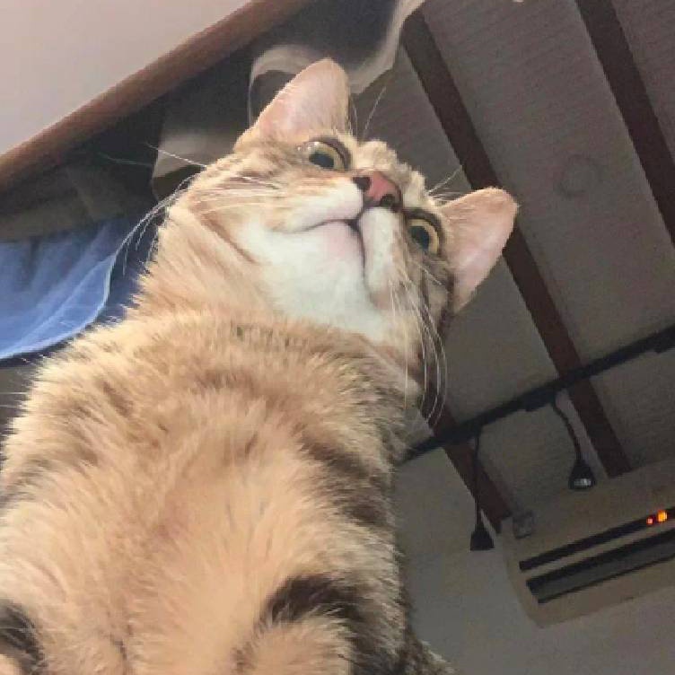 烩面豆角