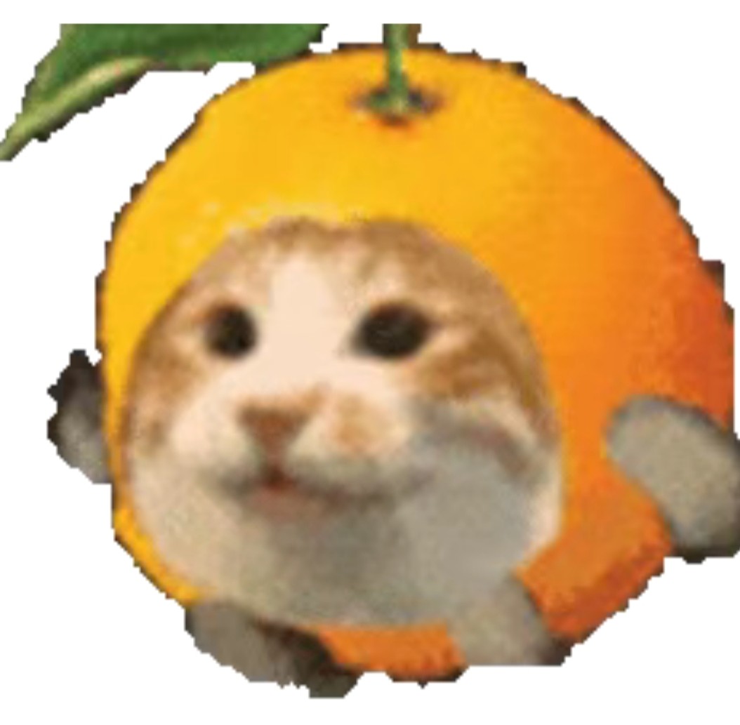 橘猫的小店