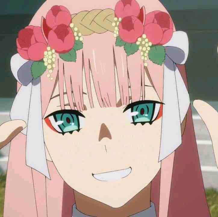 蛋蛋OvO