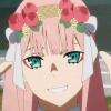 蛋蛋OvO