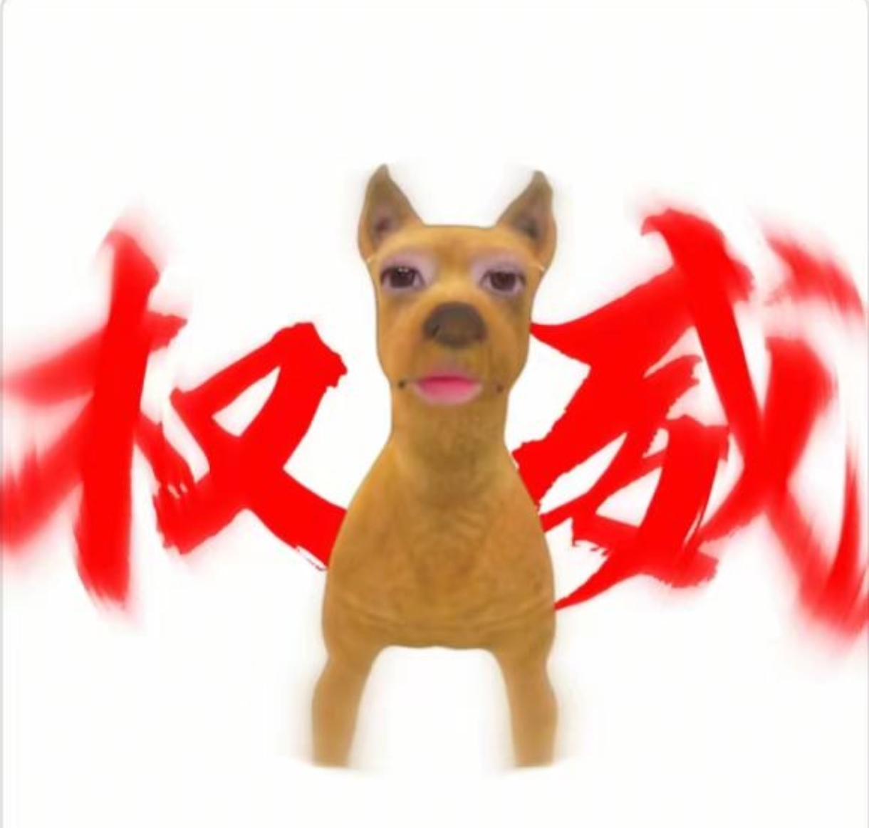 上门送水