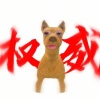 上门送水