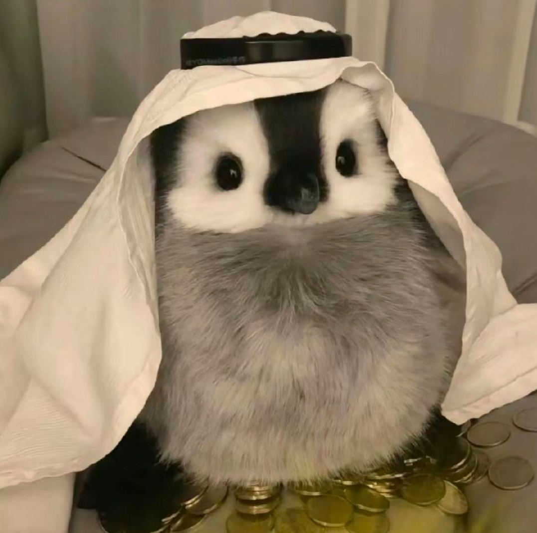 鹅饿了QAQ