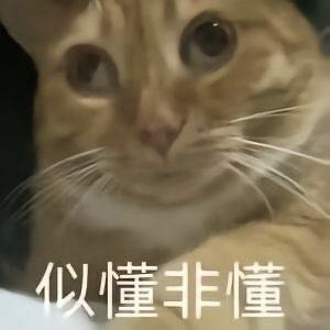 玩家1371682520286883840