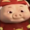 欧巴的6