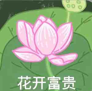 买我的来财来财