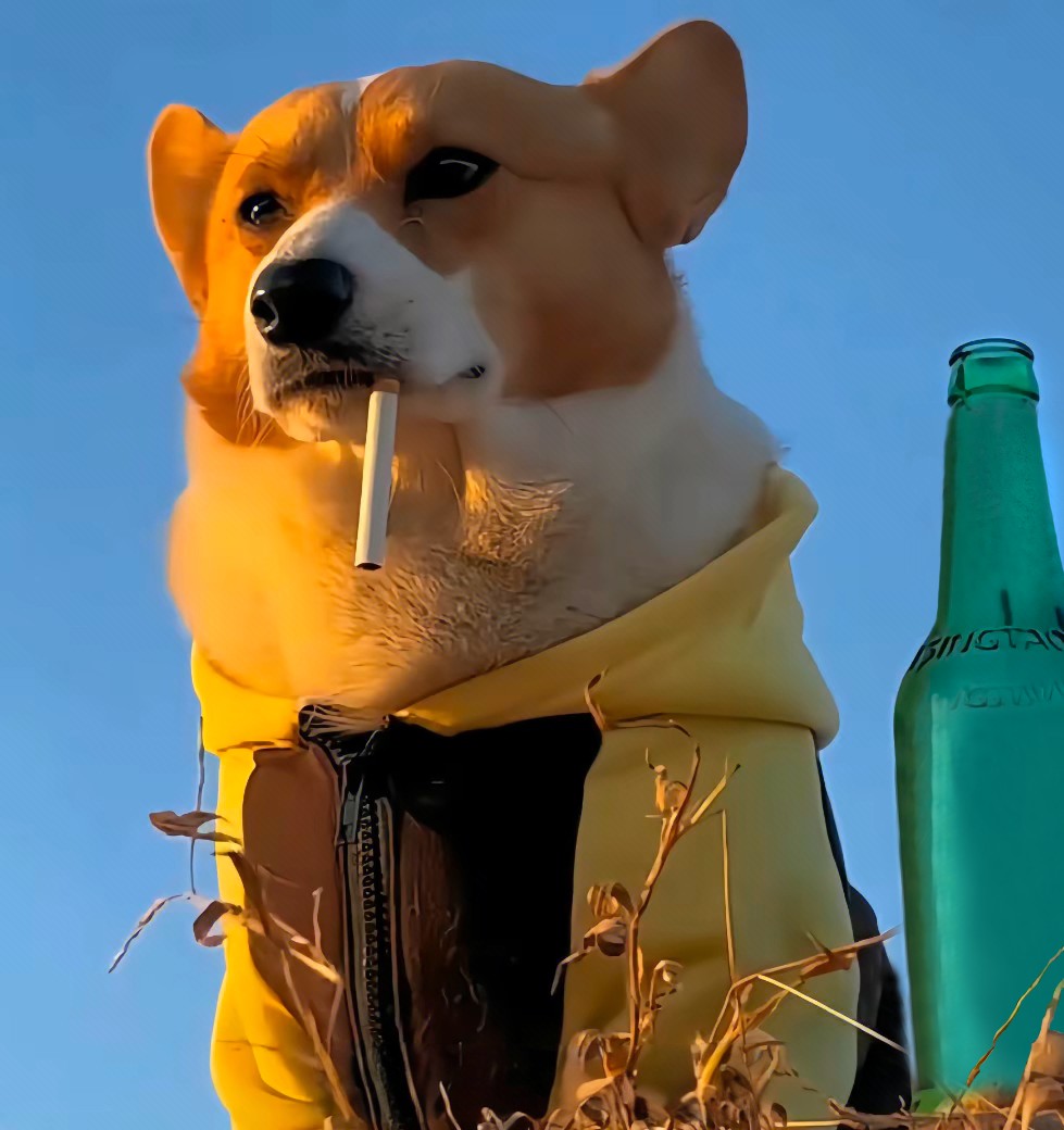我便一步一莲花祈祷