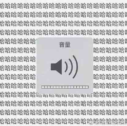 橙意满满