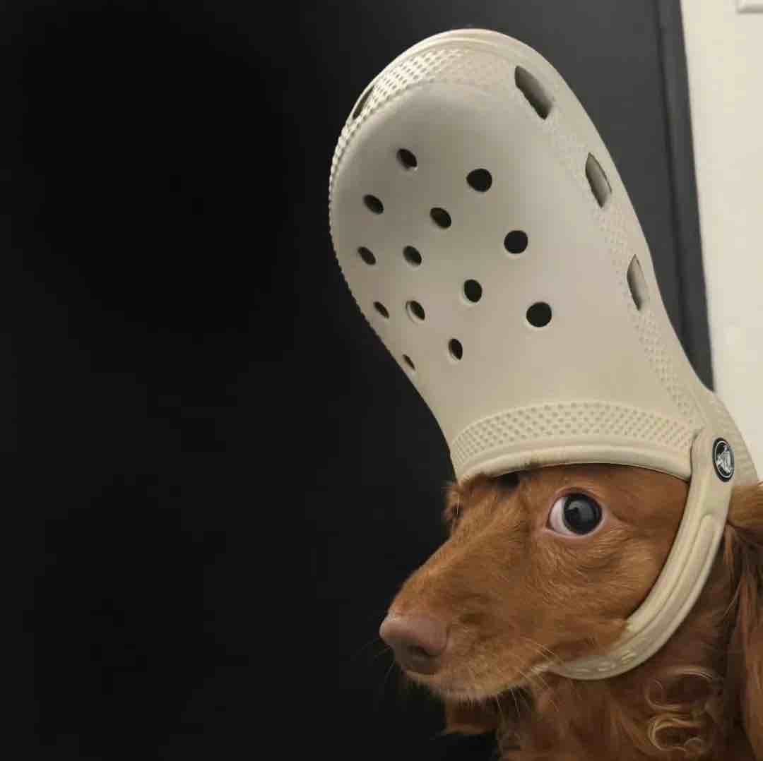 玩家1303736203066580992