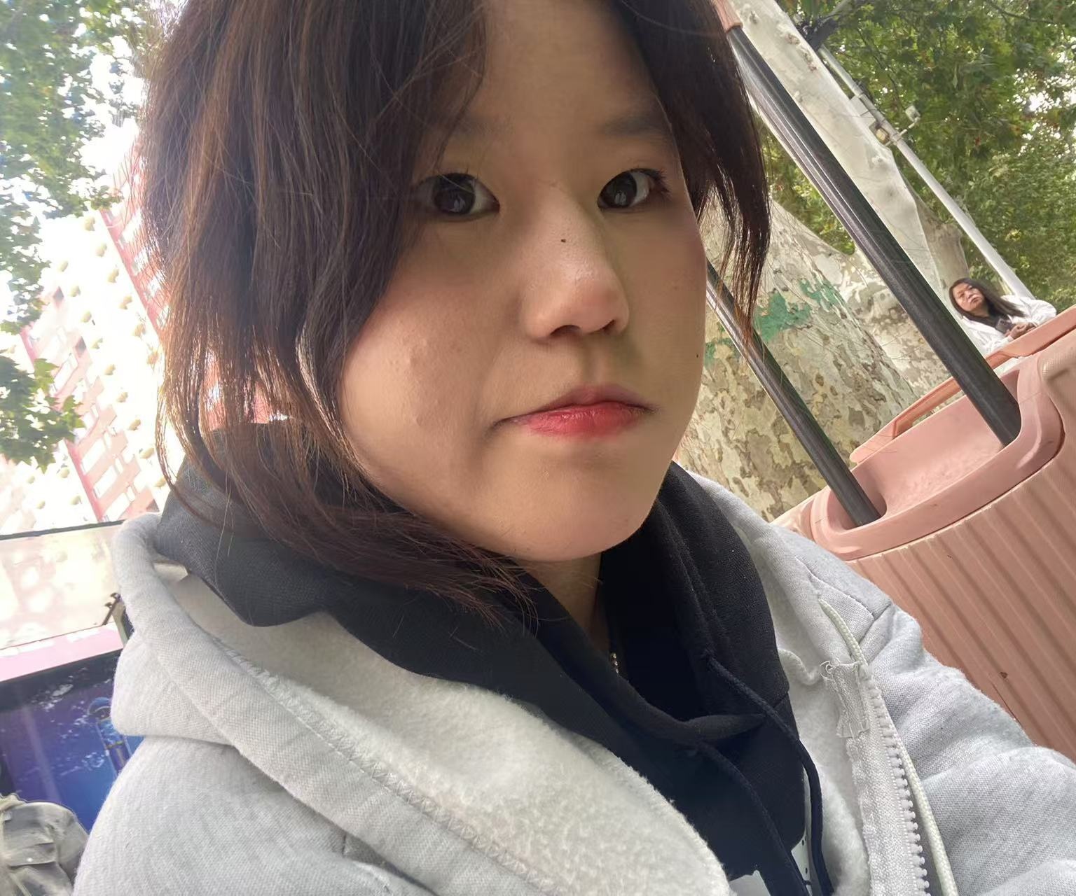 羌笛何须怨杨柳春风不度玉门关