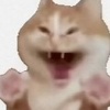 玩家1373029799239856128