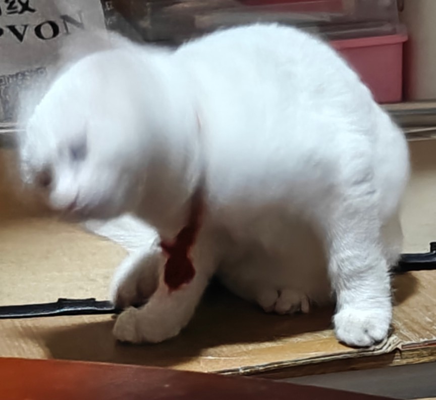 念往大大
