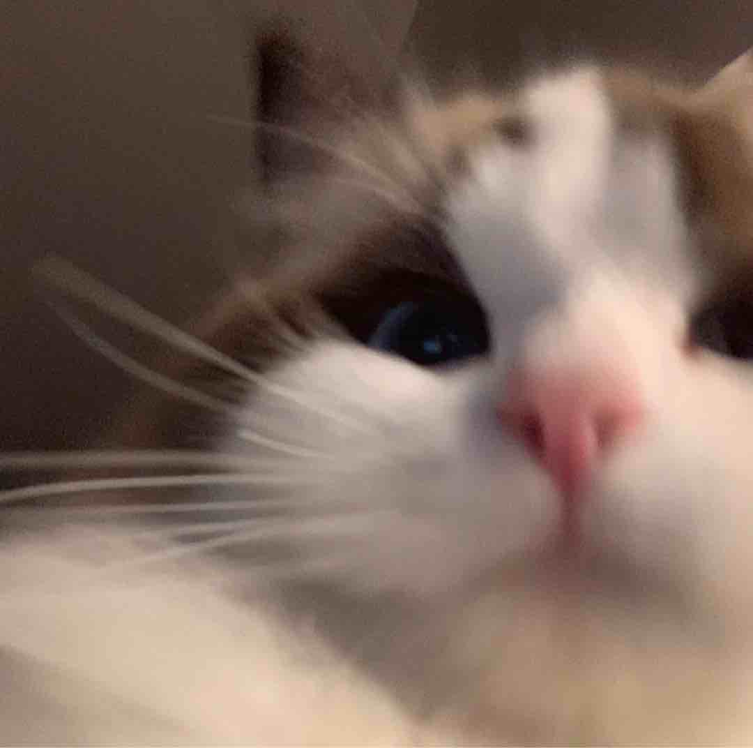 对自己好点质量店铺