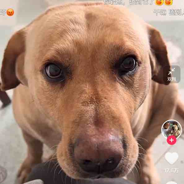 聪明人看zhuye123