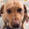 聪明人看zhuye123