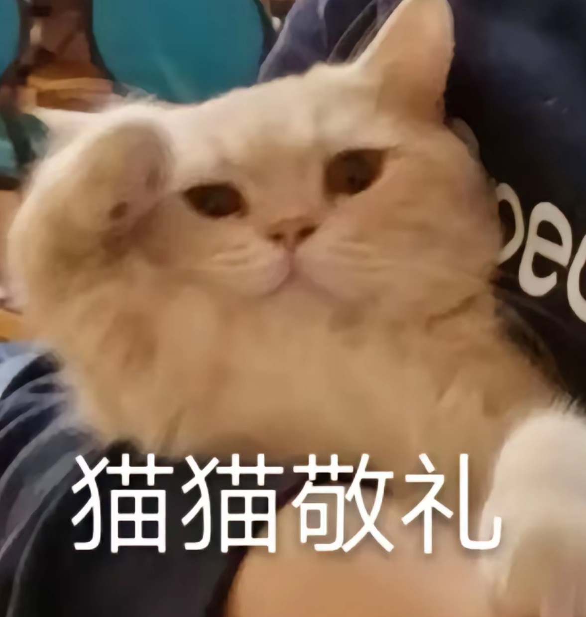 共同建设美丽China