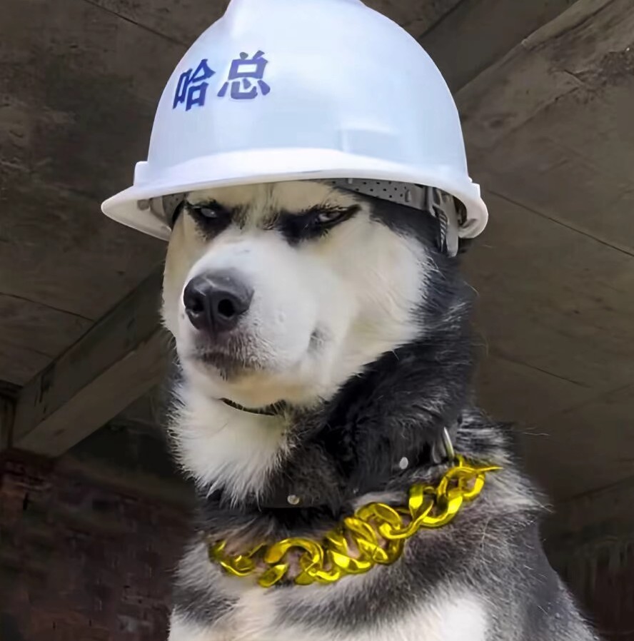 匆匆那年