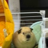 秒男秒发